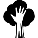 나무 관리 