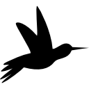 Humming bird black side silhouette 