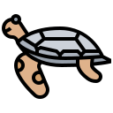 tortuga