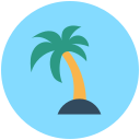 palmera icon