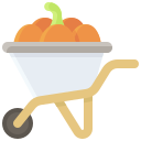 calabaza icon