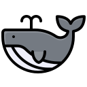 ballena icon