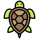 tortuga icon