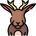 jackalope 