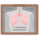 radiografía icon