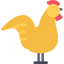 pollo icon