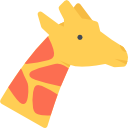 girafa 
