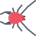 araña icon