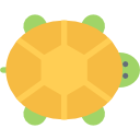 tortuga icon