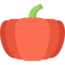 calabaza icon