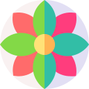 mandala icon