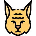 lince icon