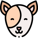 perro icon