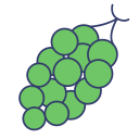 uvas icon