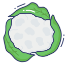 coliflor icon