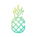 piña icon