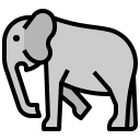 elefante