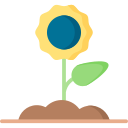 girasol icon