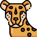 guepardo icon
