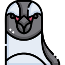 pingüino icon