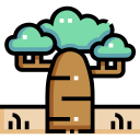 baobab icon