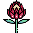 protea icon