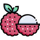 lychee icon