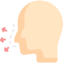 nez 