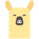 alpaca