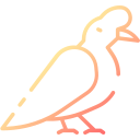 pájaro icon