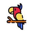 loro icon