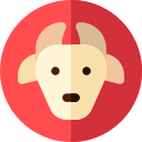 chèvre 