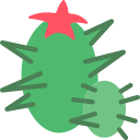 cactus icon