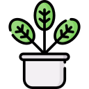 planta icon