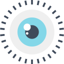 ojo icon