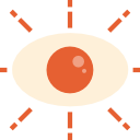 ojo icon