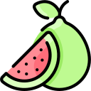 guayaba icon