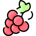 uvas icon