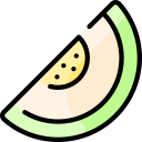 melón icon