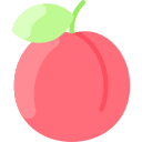 tomate cherry 