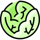 repollo icon