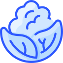 coliflor icon