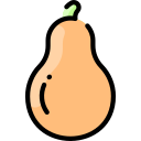 calabaza icon