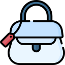 bolso icon