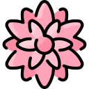chrysanthème Icône