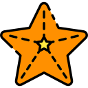 estrella de mar