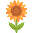 girasol icon