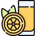 zumo de naranja icon