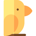 pájaro