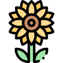 girasol icon